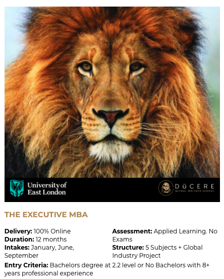The Executive MBA from Ducere & Universi...