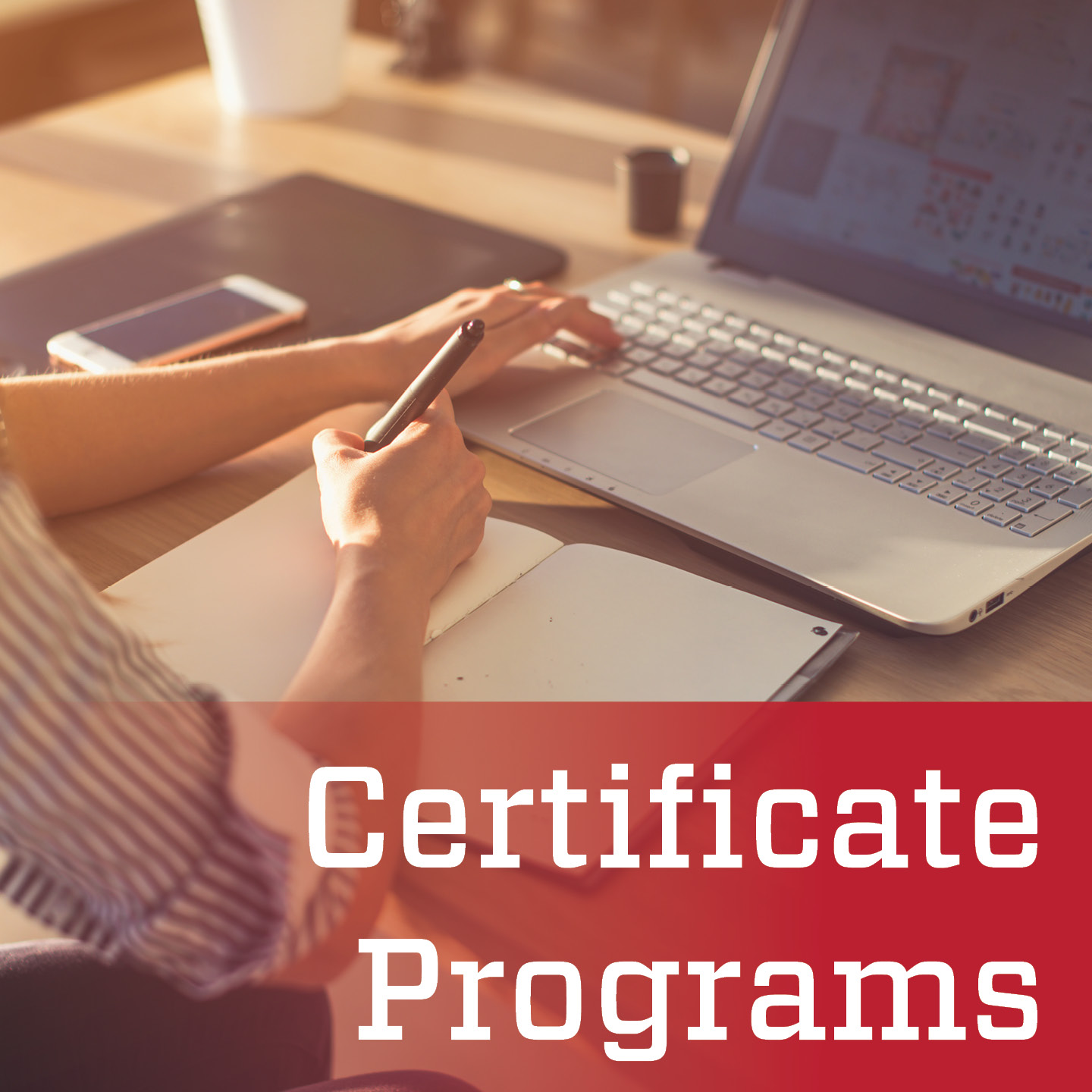Professional Development Certificates
